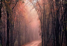 南宫28官网：2025钦州马拉松赛鸣枪开跑.