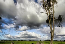 南宫28官网：[乒乓球]四战四胜 山东鲁能领跑女团乒超.