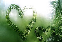 南宫28官网：ATP迈阿密站：菲斯力克兹维列夫，阳光双赛背靠背跻身八强.