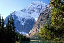 南宫28官网：[德甲]第25轮：拜仁慕尼黑2-3波鸿 集锦.