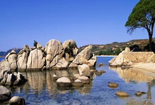 中国足协纠纷解决委员会驳回假球赌球涉案人员针对纪律处罚的申诉新华网.